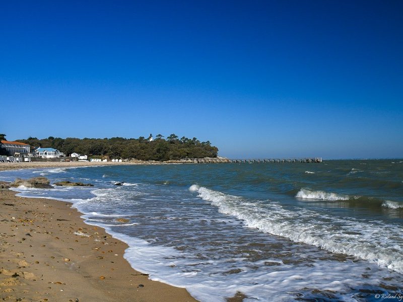 Que faire sur l’île de Noirmoutier ?