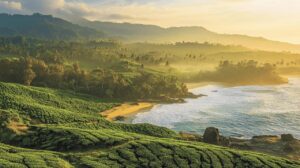 Lire la suite à propos de l’article Decouvrir le Sri Lanka : un voyage entre culture, nature et aventure